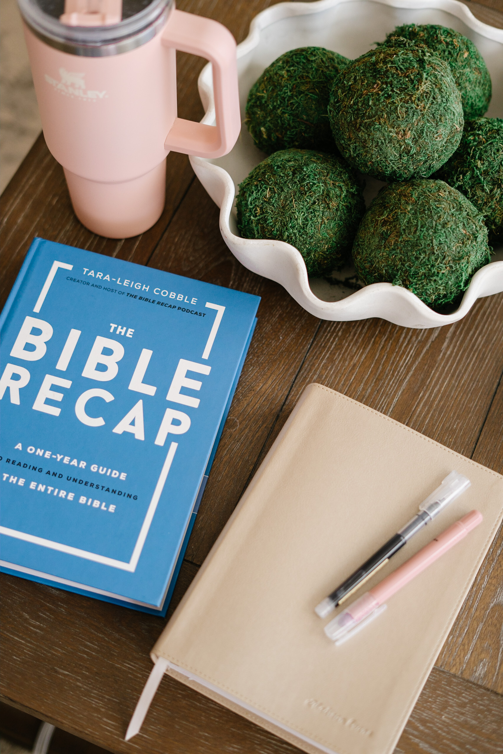 The Bible Recap plan and Bible